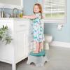 imageFisherPrice 3in1 Toddler Toilet Training Potty Chair and Step Stool with Removable Toilet Ring