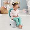 imageFisherPrice 3in1 Toddler Toilet Training Potty Chair and Step Stool with Removable Toilet Ring