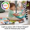imageFisherPrice Baby Playmat Glow and Grow Kick ampamp Play Piano Gym Blue Musical Learning Toy with Developmental Activities for Newborns 0 MonthsLight Blue