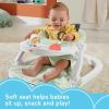 imageFisherPrice Baby Portable Baby Chair SitMeUp Floor Seat with Snack Tray and Developmental Toys Puppy Perfection Amazon Exclusive