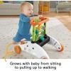 imageFisherPrice Baby Push Toy 2Sided Steady Speed Panda Walker Musical Learning Activity with 3 Blocks for Infants Ages 6 Months Amazon ExclusivePanda Walker
