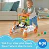 imageFisherPrice Baby Push Toy 2Sided Steady Speed Panda Walker Musical Learning Activity with 3 Blocks for Infants Ages 6 Months Amazon ExclusivePanda Walker