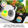 imageFisherPrice Baby Push Toy 2Sided Steady Speed Panda Walker Musical Learning Activity with 3 Blocks for Infants Ages 6 Months Amazon ExclusivePanda Walker