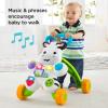 imageFisherPrice Baby Push Toy Learn with Me Zebra Walker Musical Learning Activity with Lights ampamp Fine Motor Play for Infants Ages 6 Months Amazon ExclusiveStandard Packaging