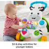 imageFisherPrice Baby Push Toy Learn with Me Zebra Walker Musical Learning Activity with Lights ampamp Fine Motor Play for Infants Ages 6 Months Amazon ExclusiveFrustrationFree Packaging