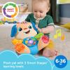 imageFisherPrice Baby Toy Laugh ampamp Learn Smart Stages Sis Musical Plush with Lights ampamp Learning Songs for Infants Ages 6 MonthsNew Puppy  Multilanguage