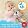 imageFisherPrice Baby Toy Soothe n Snuggle Otter Portable Plush Sound Machine with Music Lights ampamp Breathing Motion for Newborns 0 Months1 Count Pack of 1
