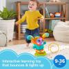imageFisherPrice Baby ampamp Toddler Learning Toy DJ Bouncin Beats with Music Lights ampamp Bouncing Action for Ages 9 MonthsBlue