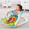 imageFisherPrice Portable Baby Chair SitMeUp Floor Seat With Developmental Toys ampamp Machine Washable Seat Pad Pacific Pebble1 Count Pack of 1