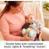 imageFisherPrice Baby Play Kit Lets Try Tummy Time Gift Set Developmental Toys with Activity Guide for Infants Ages 3 Months36 Months