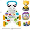 imageFisherPrice Baby Play Kit Lets Try Tummy Time Gift Set Developmental Toys with Activity Guide for Infants Ages 3 Months912 Month