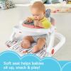 imageFisherPrice Portable Baby Chair Premium SitMeUp Floor Seat with Snack Tray Toy Bar ampamp Plush Washable Seat Pad PeekaBoo Fox1 Count Pack of 1