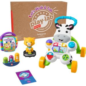 imageFisherPrice Baby Play Kit Lets Try Tummy Time Gift Set Developmental Toys with Activity Guide for Infants Ages 3 Months912 Month