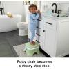 imageFisherPrice Toddler Toilet 3in1 Puppy Perfection Potty Training Seat and Step Stool with Removable RingLearntoFlush Potty  Puppy