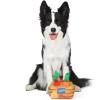 imageFisherPrice for Pets SoundBites Plush Toy Xylophone for Puppies Sounds Desensitize Pups to Noises  NoiseMaking Chew Toy for Puppies  Multifunctional Dog ToyVeggie Treat Puzzle