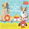 imageFisherPrice for Pets SoundBites Plush Toy Xylophone for Puppies Sounds Desensitize Pups to Noises  NoiseMaking Chew Toy for Puppies  Multifunctional Dog ToyChatter Phone  Corn Popper   Record Player