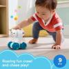 imageFisherPrice Baby Toy Corn Popper PushAlong Vehicle with Sounds for Crawling Developmental Play Infants Ages 6 MonthsPolar Bear