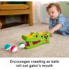 imageFisherPrice Baby Toy Sit amp Tap Rolligator Crawling Activity with Pounding Hammer amp 3 Balls for Developmental Play Infants Ages 9 Months