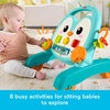 image:imageFisherPrice Baby Push Toy Musical Penguin Walker 2in1 Infant to Toddler Activity Play for Motor Skills Development Ages 6 Months