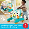 image:imageFisherPrice Baby Push Toy Musical Penguin Walker 2in1 Infant to Toddler Activity Play for Motor Skills Development Ages 6 Months