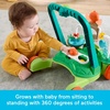 image:imageFisherPrice Baby Push Toy Turtle Walker Moves with You 5 Balls Infant to Toddler Activity for Motor Skills Development Ages 6 Months