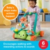 image:imageFisherPrice Baby Push Toy Turtle Walker Moves with You 5 Balls Infant to Toddler Activity for Motor Skills Development Ages 6 Months